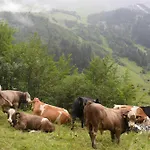 Appartement Haus Bruegga *