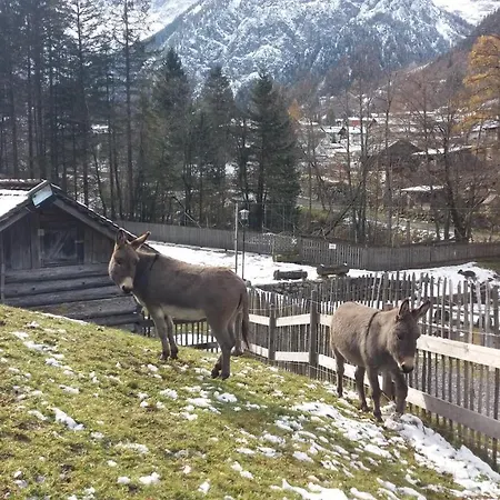 Appartement Haus Bruegga Brand (Vorarlberg)