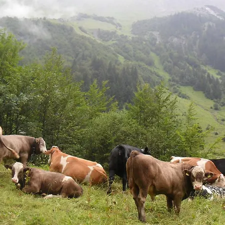 Appartement Haus Bruegga *