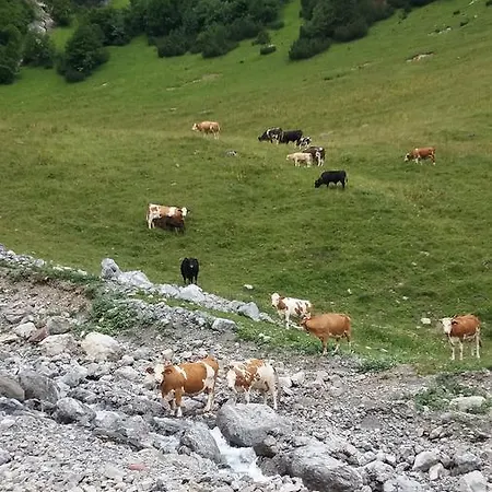 Appartement Haus Bruegga Brand (Vorarlberg)