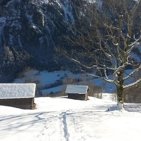 Apartment Haus Brugga